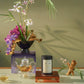 Curret Premium White Tea Blend - Fujian Zhenghe & Yunnan, 15 Eco-Friendly Tea Bags, Natural Sweetness, Orchid Aroma, Organic