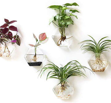Kingbuy Wall Hanging Planter Glass Terrarium Propagation Stations Geometric Hexagon Shape Hydroponics Vase For Home Office Decor