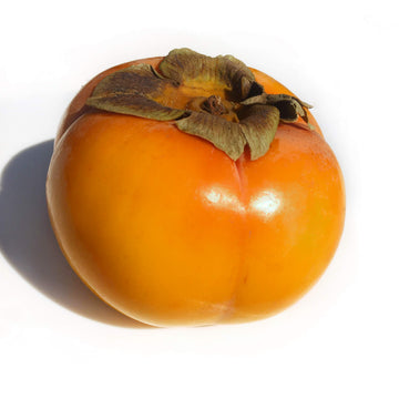 KEJORA Fresh Fuyu Persimmons (10 LB)