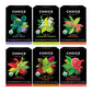 Choice Organics - Favorites Variety Pack Sampler (6 Pack) - Includes Earl Grey, Jasmine Green, Oolong, Rooibos, Cocoa Mint Puerh