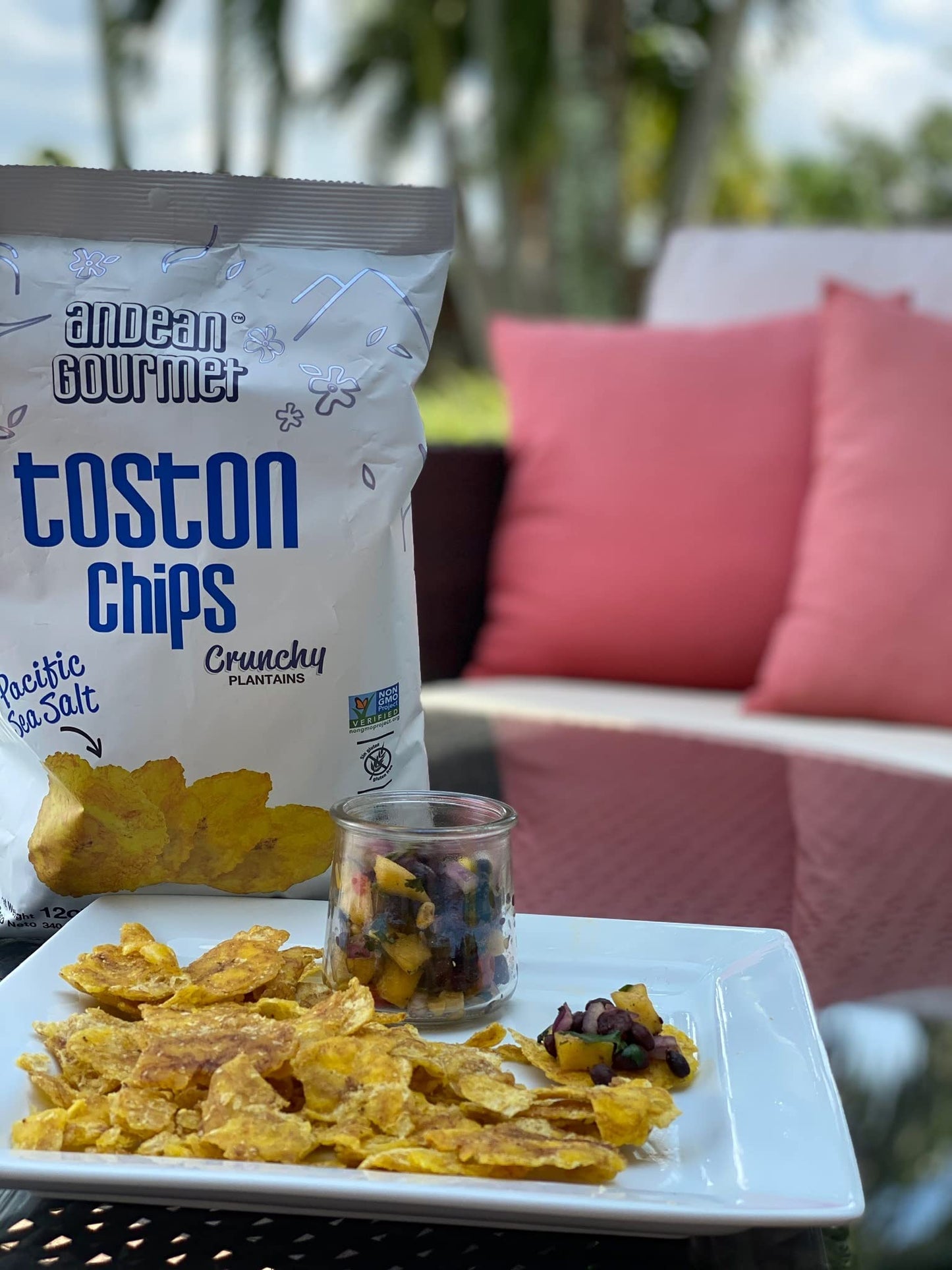 ANDEAN GOURMET Toston Chips 10oz (Pack of 3) Variety (Pacific Sea Salt, Garlic and Lime) - Gluten Free, All Natural, NON-GMO and