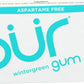 Pur Gum Wintergreen Gum - 1 Pk ( 9 Pieces )