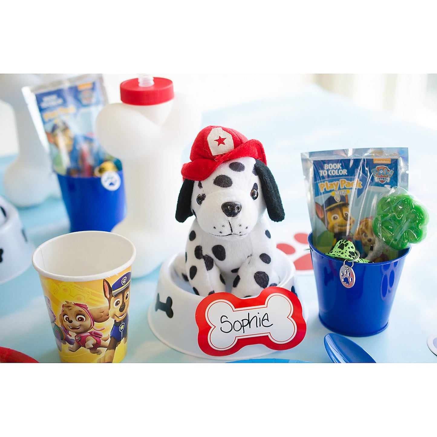 Paw Print Suckers (Set Of 12 Individually Wrapped Lollipops) Party Candy