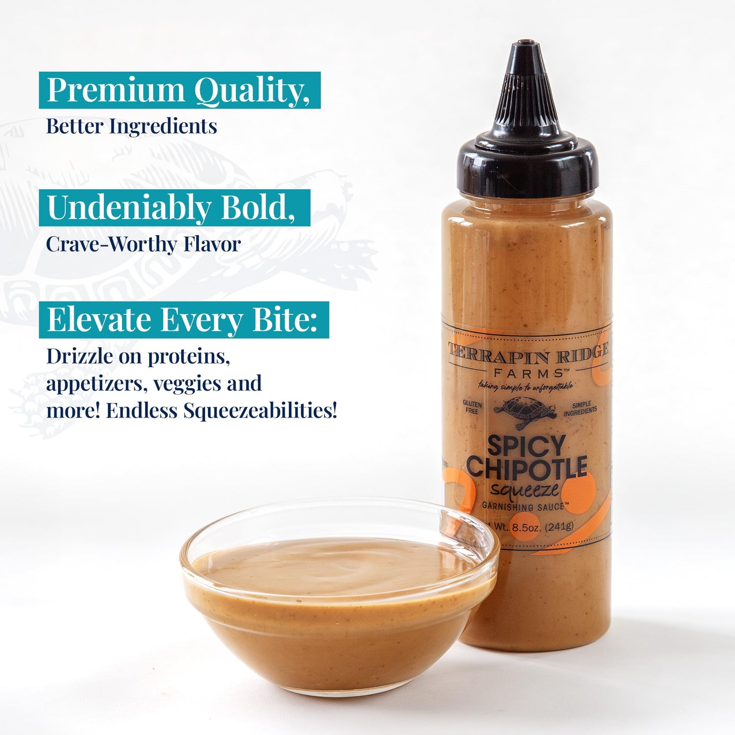 Terrapin Ridge Farms Spicy Chipotle Garnishing Sauce, 8.5 oz Bottle, Pack of 6 – Smoky & Zesty for Tacos, Sandwiches, Seafood & More