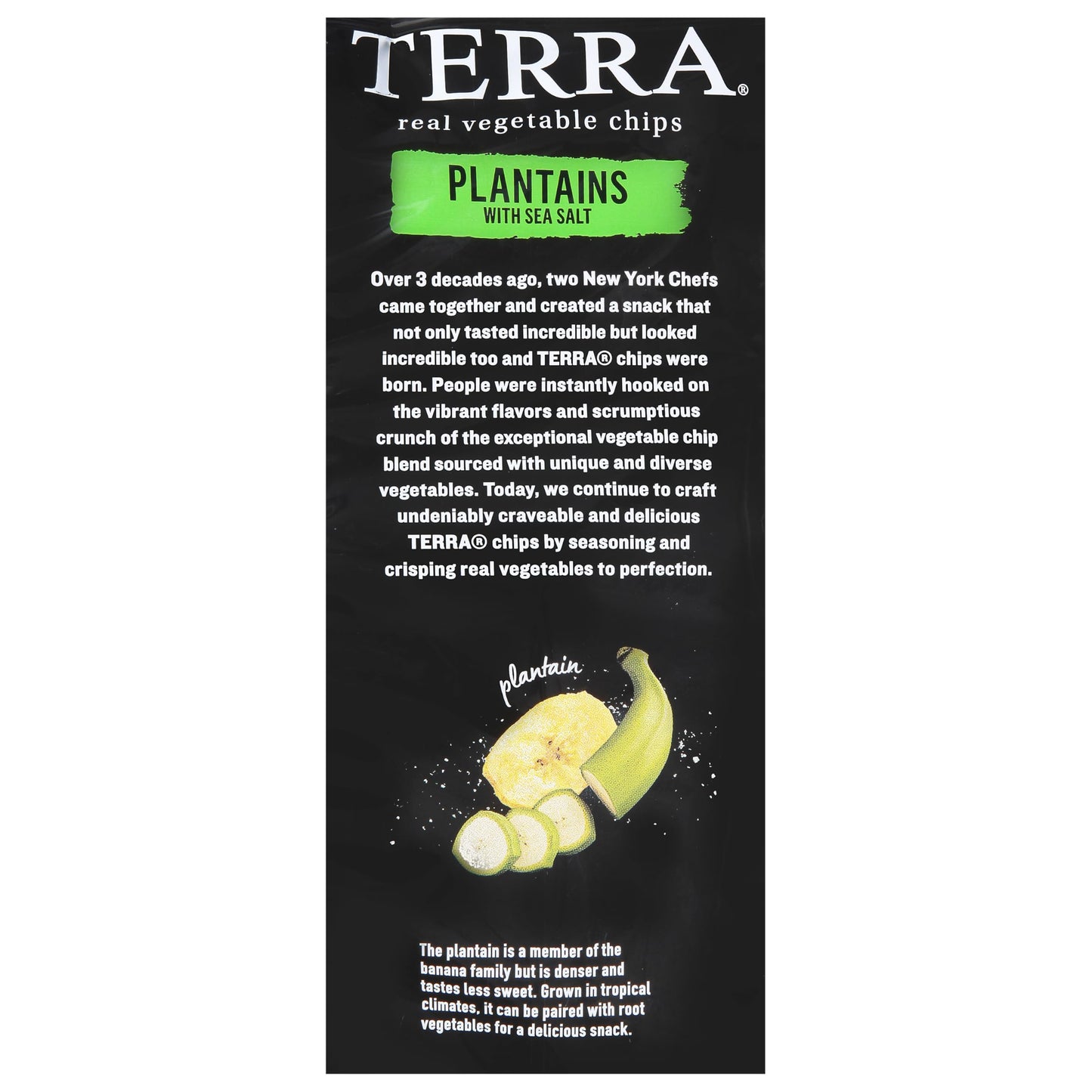 Terra Chips, Plantain Sea Salt, 5 Oz