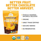 Mavuno Harvest Organic Chocolate Covered Pineapple - Organic Dried Pineapple Dipped in Dark Chocolate - Non GMO, Fair Trade & Ve