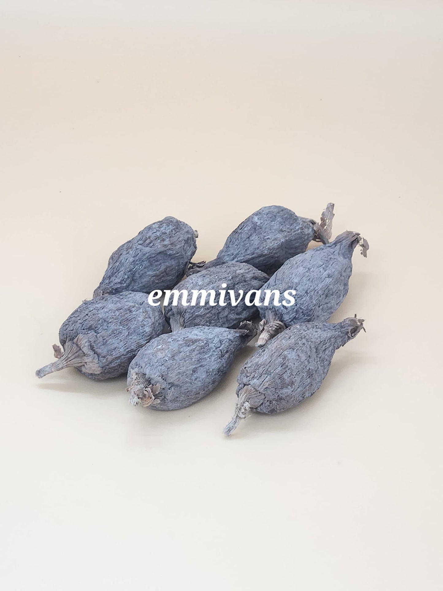 Emmivansfoods Alligator Pepper Pod,Grain Of Paradise, Atara, Mbongo, Hepper Pepper, Guinea Pepper, Pimienta De Guinea,African Sp