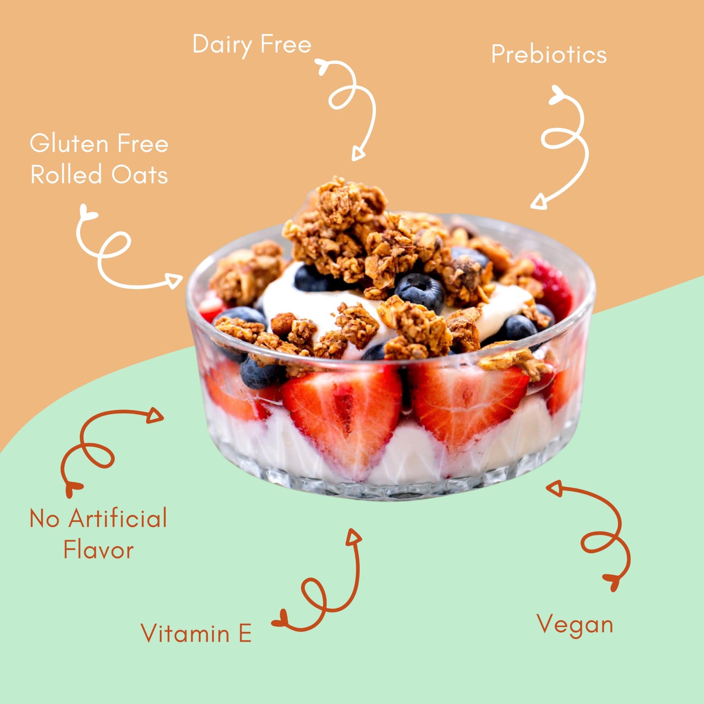 Tempo Granola Apricot Coconut Almond Granola Clusters (6 Pack) Gluten Free Oats, High Protein, Low Sugar, Vegan, Dairy Free, Soy