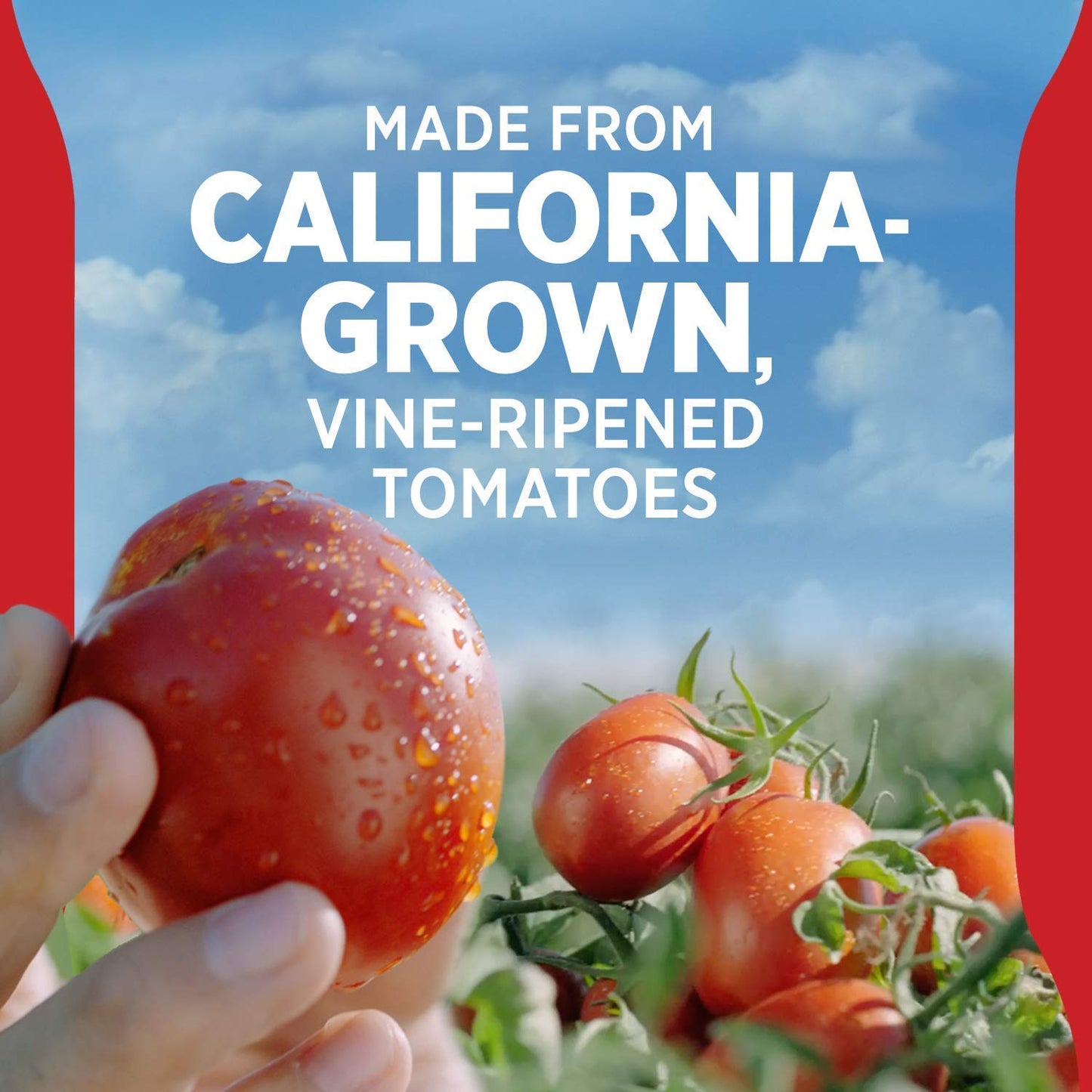 Hunt'S Tomato Ketchup 100% Natural No High Fructose Corn Syrup 20 Oz (Pack Of 2)