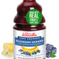 Dr. Smoothie 100% Crushed Blueberry Banana - No Added Sugar, Made with Real Fruits/Fruit Juice - Vegan, No Artificial Colors or 