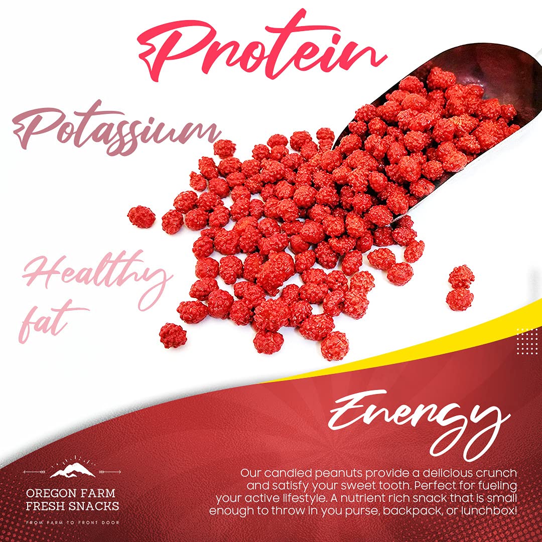 Oregon Farm Fresh Snacks French Burnt Peanuts - Classic Old Fashioned Sweet and Salty Crunchy Red Candy Spanish Snack Enriched w