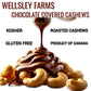 Wellsley Farms Milk Chocolate Covered Cashews – 44 oz | Gluten-Free Snack