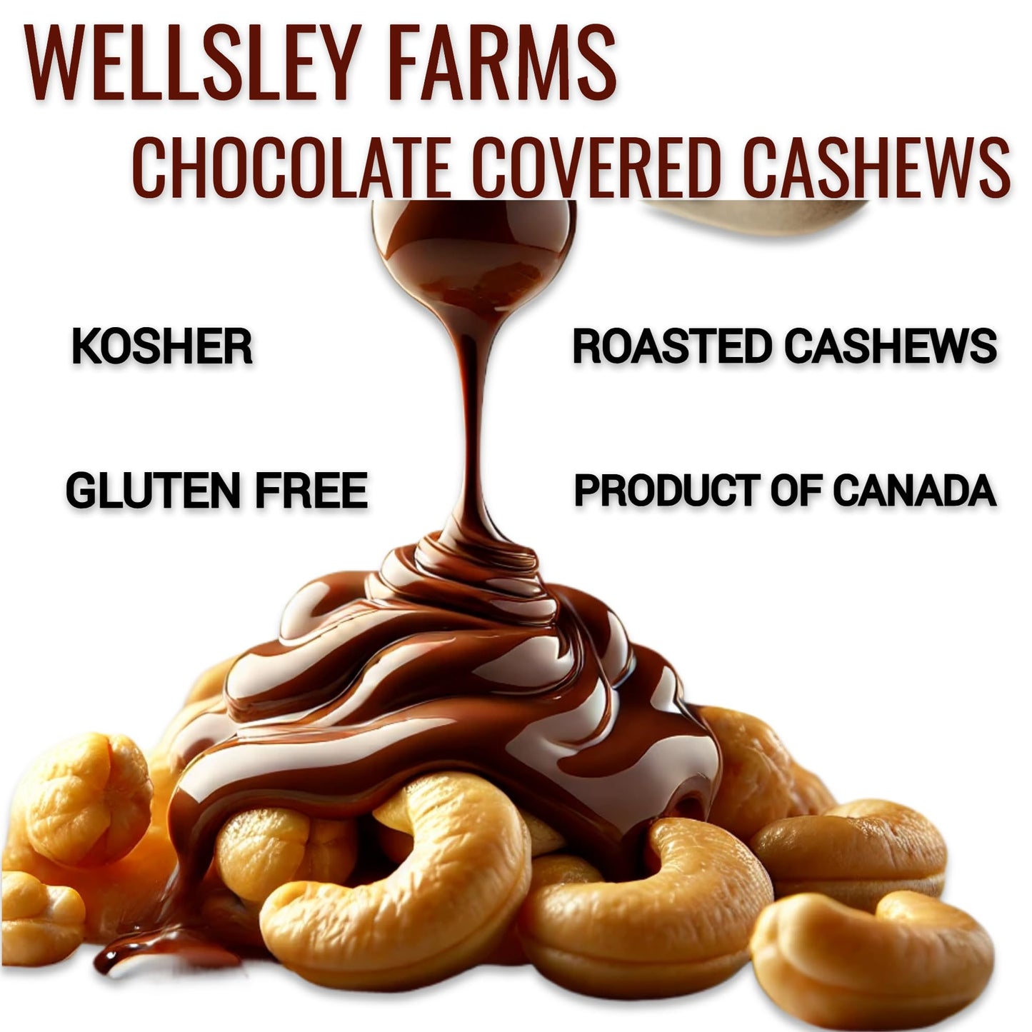 Wellsley Farms Milk Chocolate Covered Cashews – 44 oz | Gluten-Free Snack