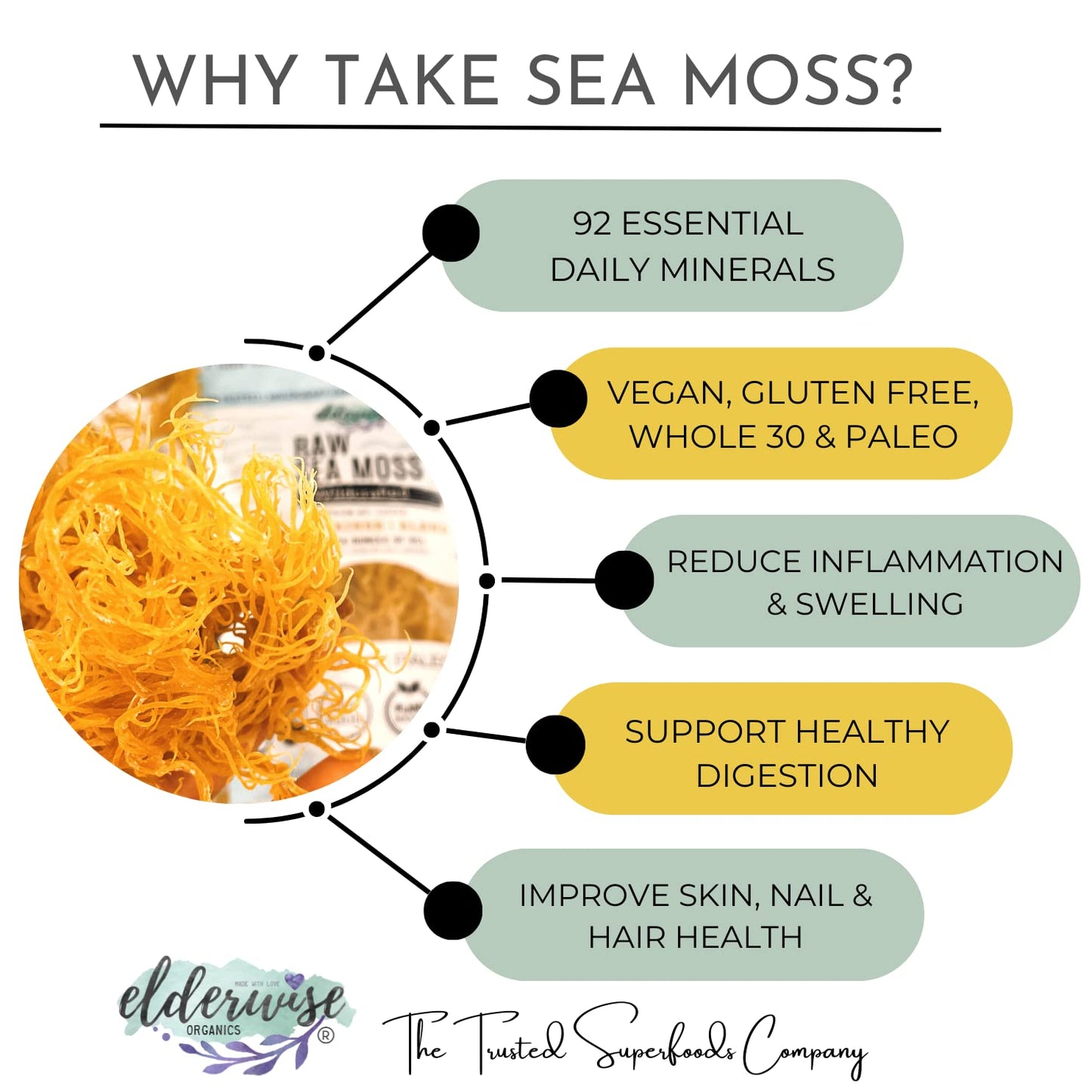 Elderwise Raw Sea Moss | Organic Seamoss Makes 20Oz Of Gel | Wildcrafted Golden Sea Moss | Raw & Non Gmo Certified | Sundried |