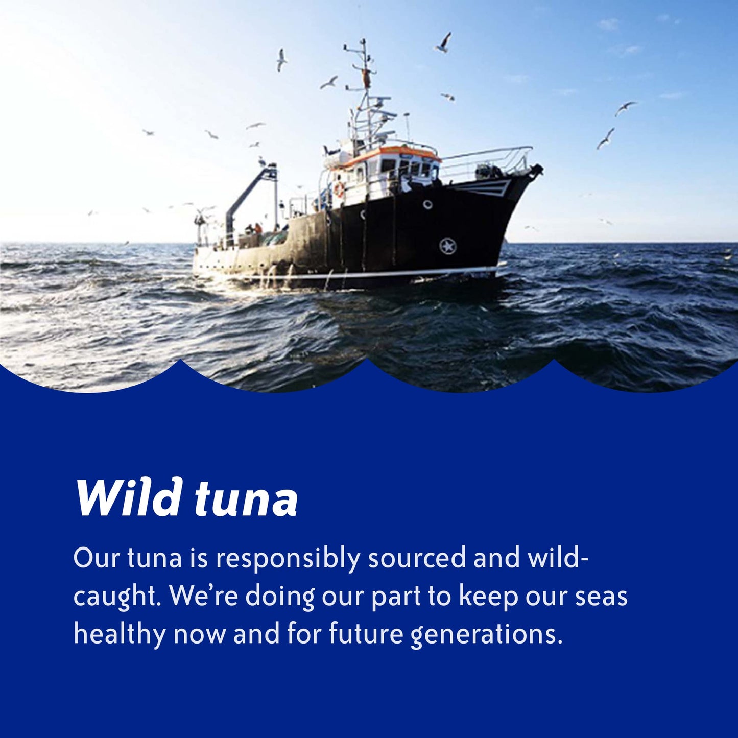 Chicken of the Sea Wild Caught Light Tuna, 2.5 oz. Packets (Box of 12), Lemon Garlic Seasoning