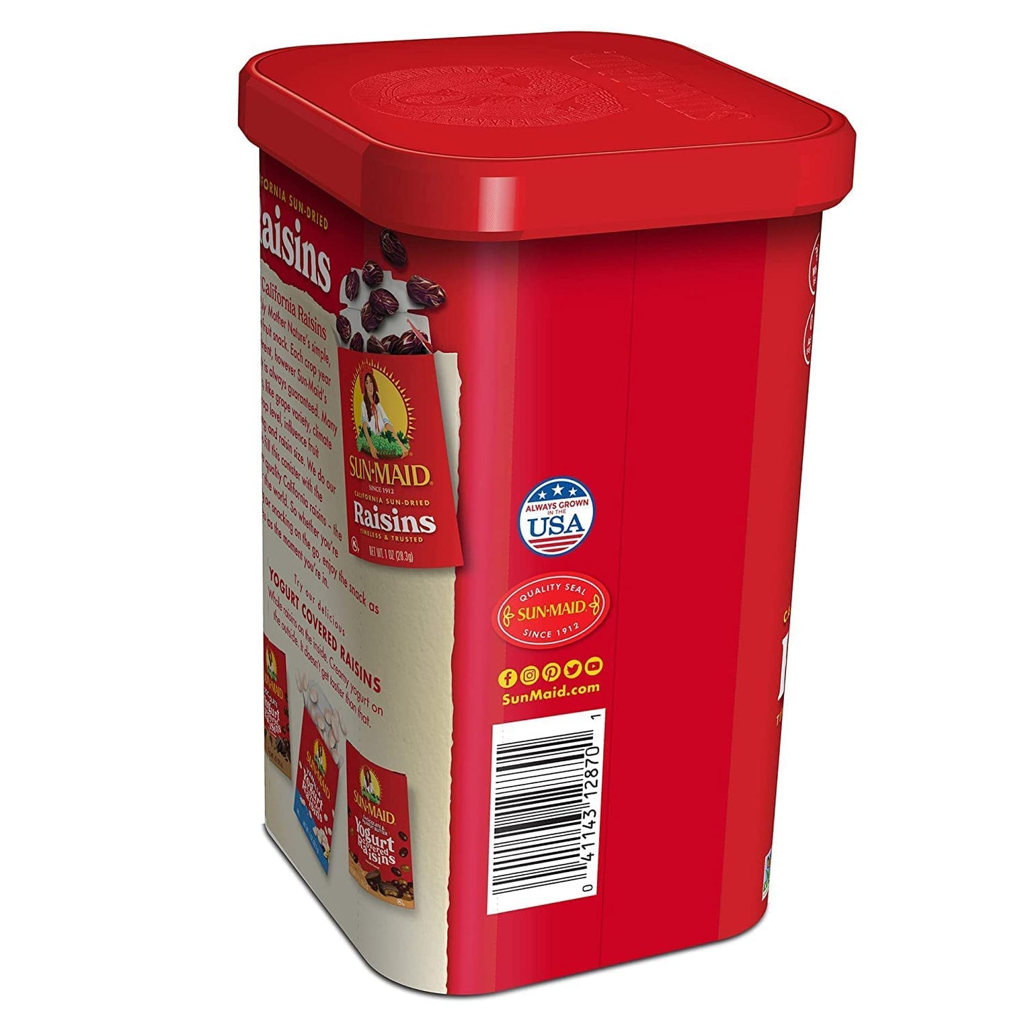Sun-Maid Raisins Canister 20 Oz (Pack Of 4)