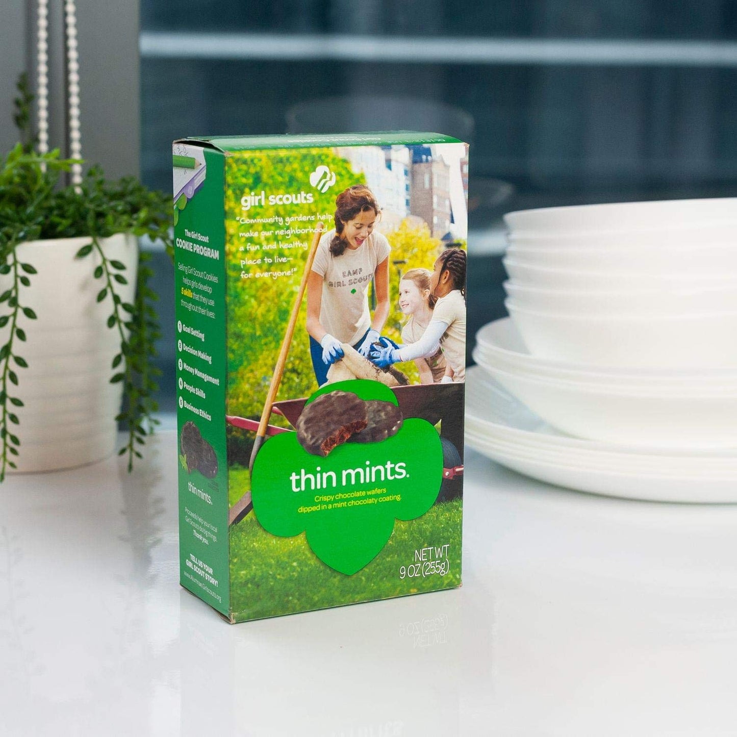 Girl Scout Thin Mints Cookies, 9 Ounce (Pack of 1) - Delicious Mint Chocolate Treats, Perfect for Snacking and Sharing