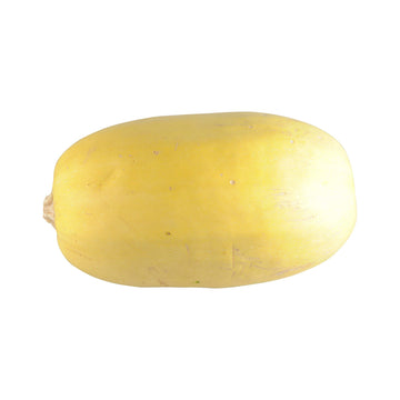 Spaghetti Squash, 1 Each