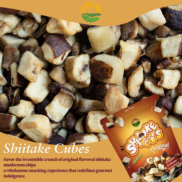 Terraland Shiitake Cube - Original, Crispy & Crunch Mushroom Snack, Non Gmo, Vegan Snack 2.12Oz Bag - Pack Of 2