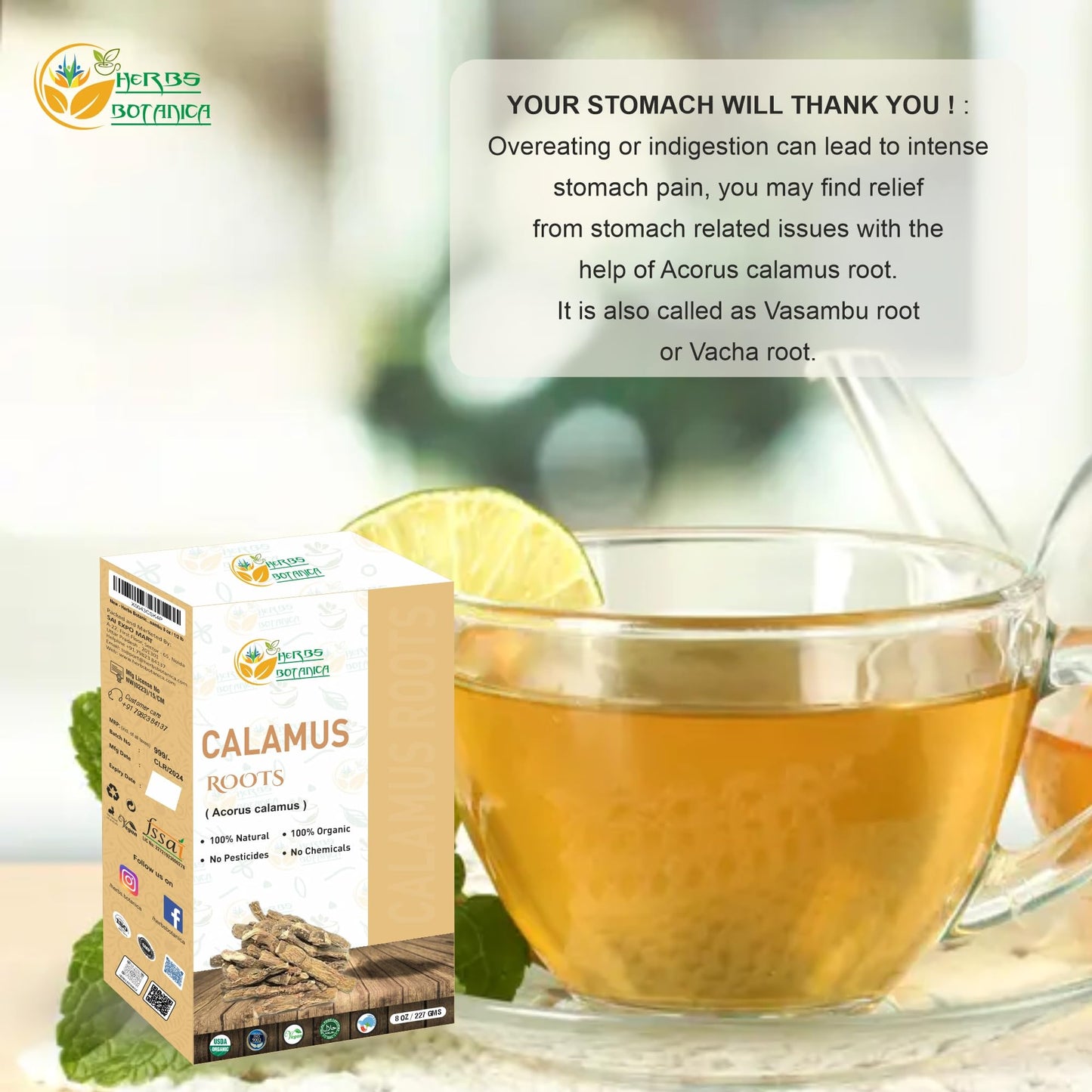 Herbs Botanica Calamus Root Dried Herb for Tea, 8 oz, Loose Leaf