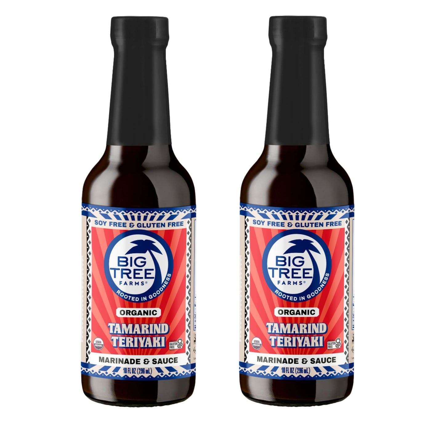 Big Tree Farms Organic Coco Aminos Soy-Free Sauce, Low Sodium, Gluten Free, 10 Fl Oz (Pack of 2), Brown
