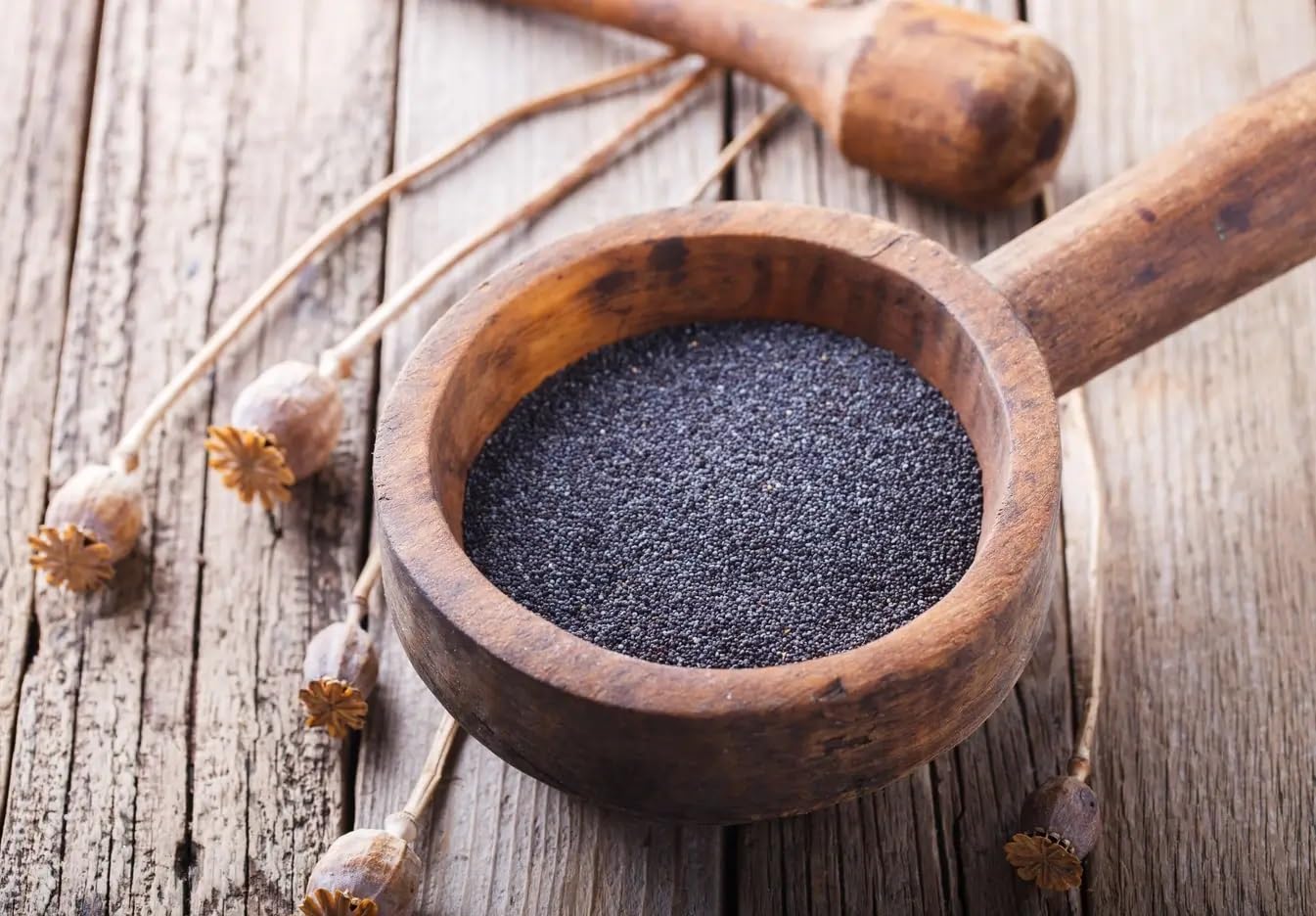 Us Snacks - Premium Quality Whole Poppy Seeds, Nutritious And Flavorful, Enhance Your Recipes With Natural Flavor, Rich In Nutri