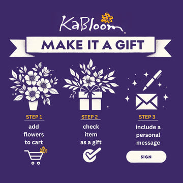 KaBloom Flowers - Mothers Day Collection - Moonlight Orchids| Fresh For Delivery Prime With Vase.Gift for Birthday, Get Well, T