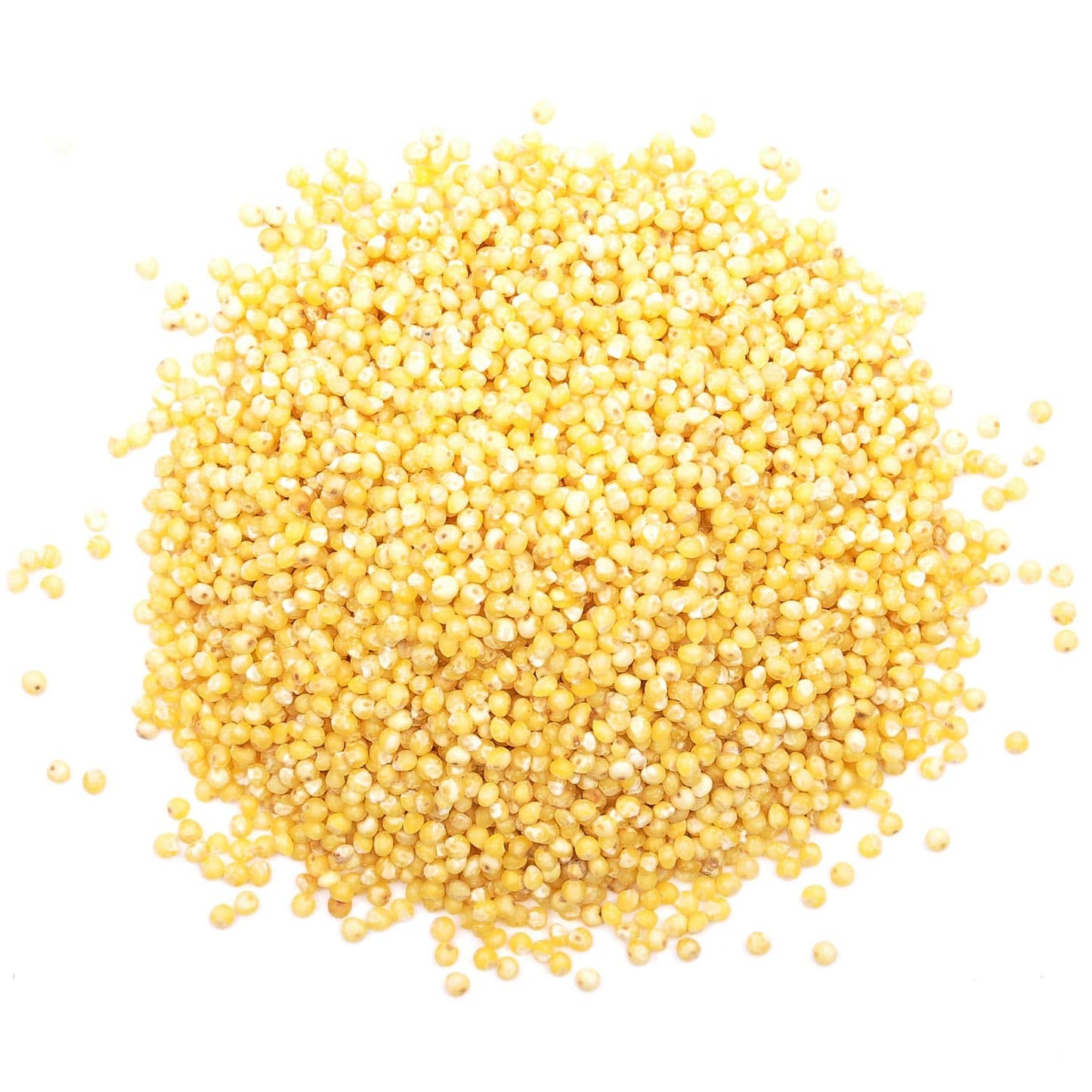 Hulled Millet, 6 Pounds - Whole Grain Seeds, Kosher, Raw, Bulk