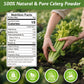 Fangkic Pure Celery Powder 20 oz  Fresh Celery Juice Powder for Drink  1.25 lb / 70 Servings per Pack with a Spoon  100% Natural  Vegan  Gluten Free  UltraFine Cold Pressed  for Baking  Smoothie  Cooking