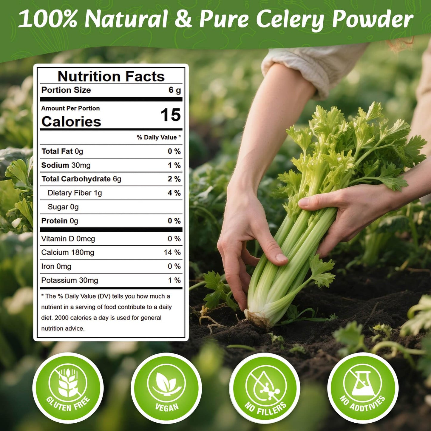 Fangkic Pure Celery Powder 20 oz  Fresh Celery Juice Powder for Drink  1.25 lb / 70 Servings per Pack with a Spoon  100% Natural  Vegan  Gluten Free  UltraFine Cold Pressed  for Baking  Smoothie  Cooking