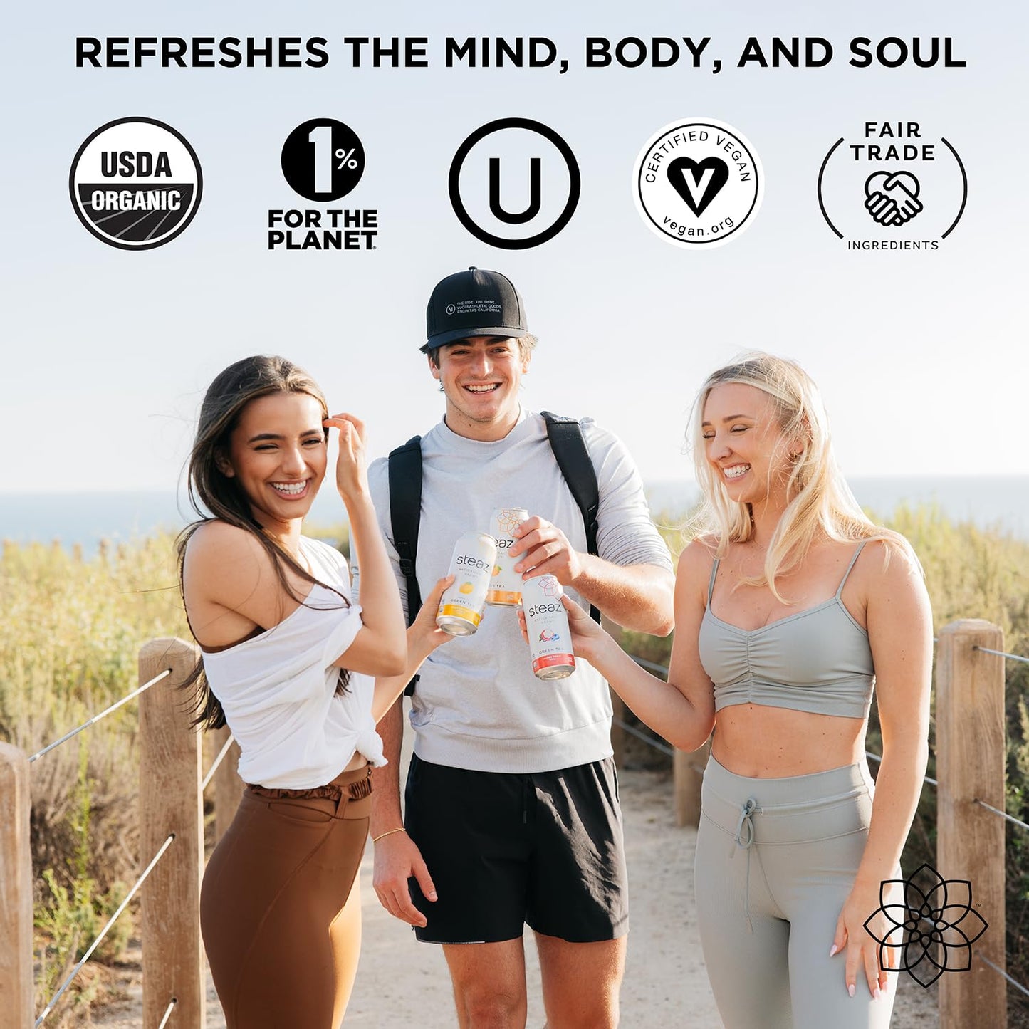 Steaz - Organic Green Tea - Superfruit (12 Pack) - Antioxidant Brew - 65Mg Natural Caffeine, 90 Calories, Vitamin C - Cane Sugar Sweetened Iced Tea - Vegan, Fair Trade - 12 Cans, 16 Fl Oz (473Ml)