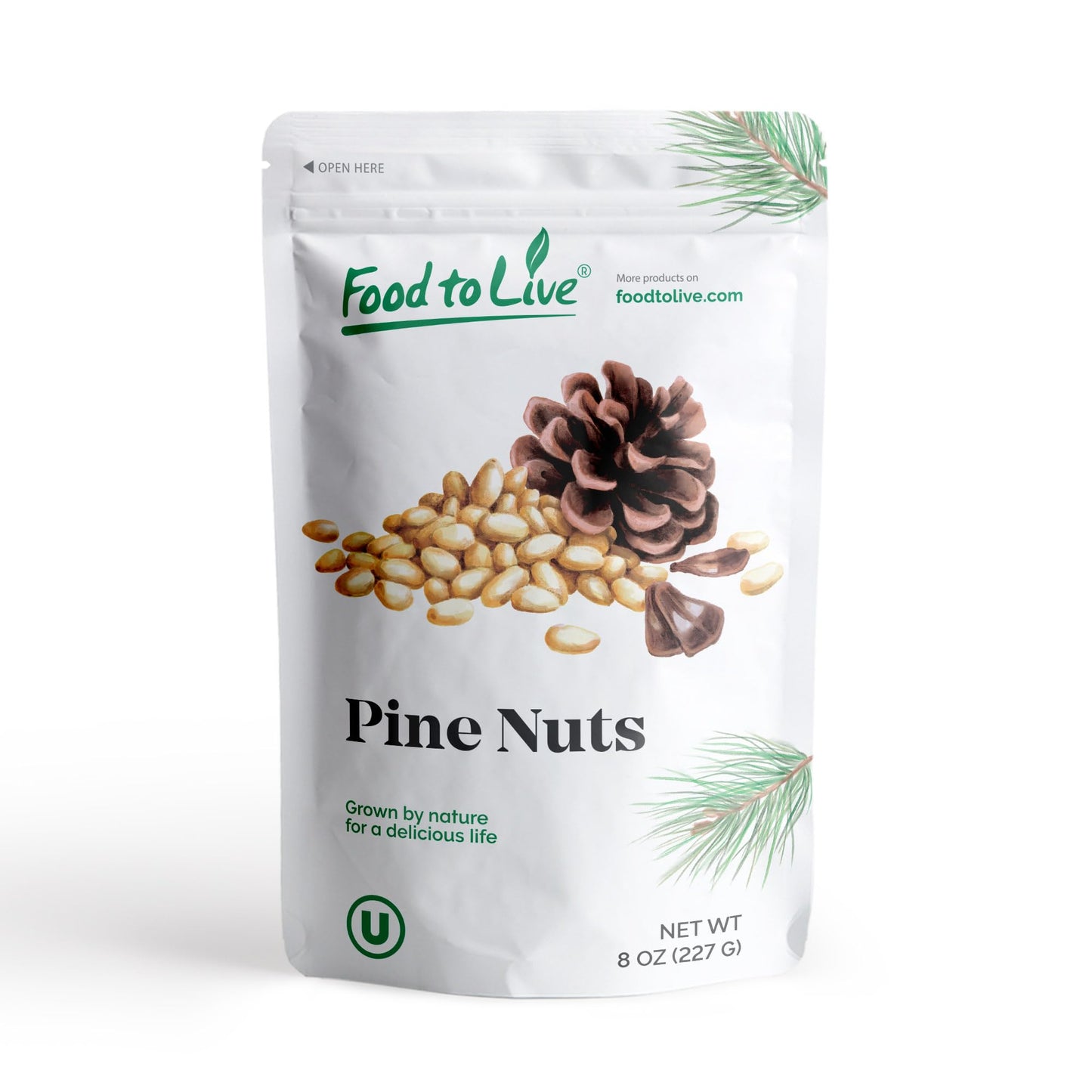 Food to Live Dry Roasted Pine Nuts, Vegan, Kosher, 8 Ounces, Naturally Tasty and Crunchy