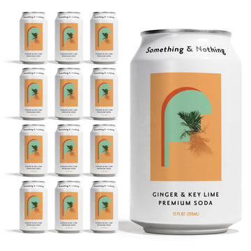Something & Nothing Ginger & Lime Flavoured Sparkling Water | Lightly Carbonated  Full Flavoured with Added G & Lemon Juice | Vegan & Low Calorie Soda | 12 Fl Oz Cans (Pack of 12)