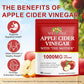 Nifeishi Apple Cider Vinegar Gummies with the Mother – 1,000 mg, 90 Count