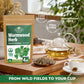 4 oz. Wormwood Tea Wormwood Herb Dried Herb Tea (Artemisia Absinthium) - 113g Dry Wood Worm Artemisiae Absinthii Herba Artemisa
