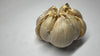 Organic Fresh Elephant Garlic by RawJoy Farms