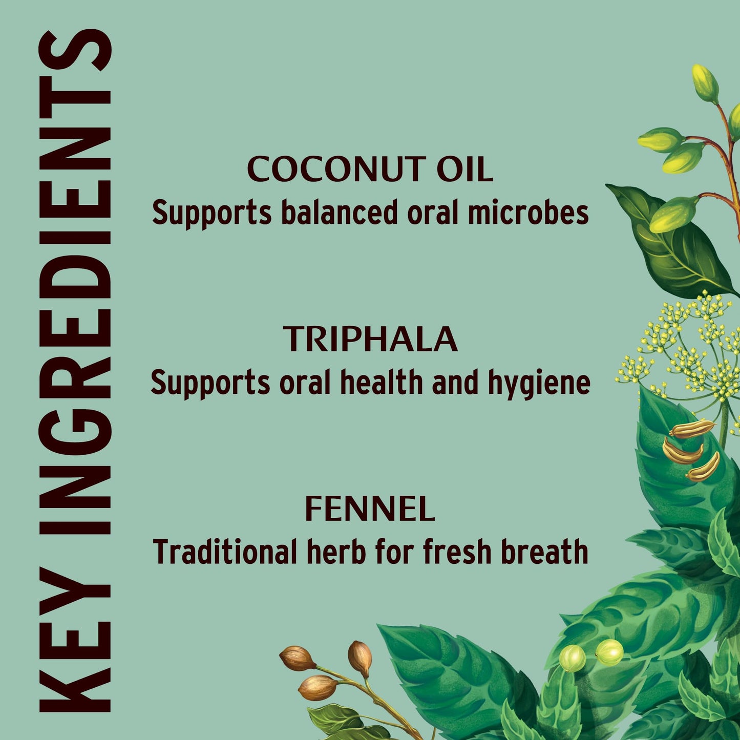 Banyan Botanicals Mint Daily Swish – Organic Ayurvedic Pulling Oil With Coconut Oil – Mouthwash For Fresh Breath And Sparkling Oral Health* – 8 Oz – Non Gmo Sustainably Sourced Vegan