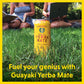 Guayaki Yerba Madre Organic Yerba Mate, Berry Lemonade, Low Sugar, 150mg Caffeine, 15.5 Oz (Pack of 12)