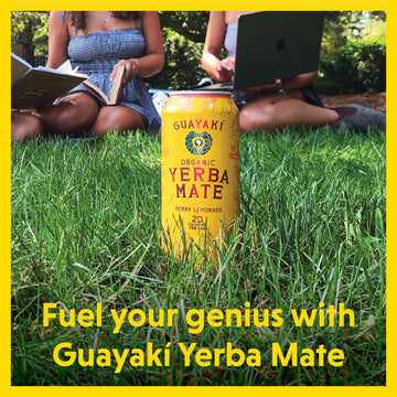 Guayaki Yerba Madre Organic Yerba Mate, Berry Lemonade, Low Sugar, 150mg Caffeine, 15.5 Oz (Pack of 12)