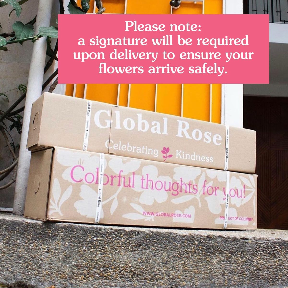 GlobalRose Fresh Cut Assorted Roses - 100 Roses (4 Bundles of 25) Fresh Bouquet for Birthday, Anniversary, Womens Day, or Home