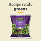 Taylor Farms Spring Mix, 5 Oz