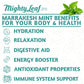 Mighty Leaf Tea Marrakesh Mint - 100 Foil Wrapped Tea Pouches - 100 Count