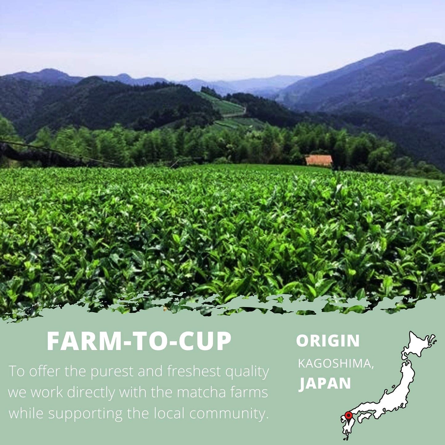 Matcha Green Tea Powder, Ceremonial Grade, Farm To Cup In Small Batches Straight From Japan, 1.76 Oz