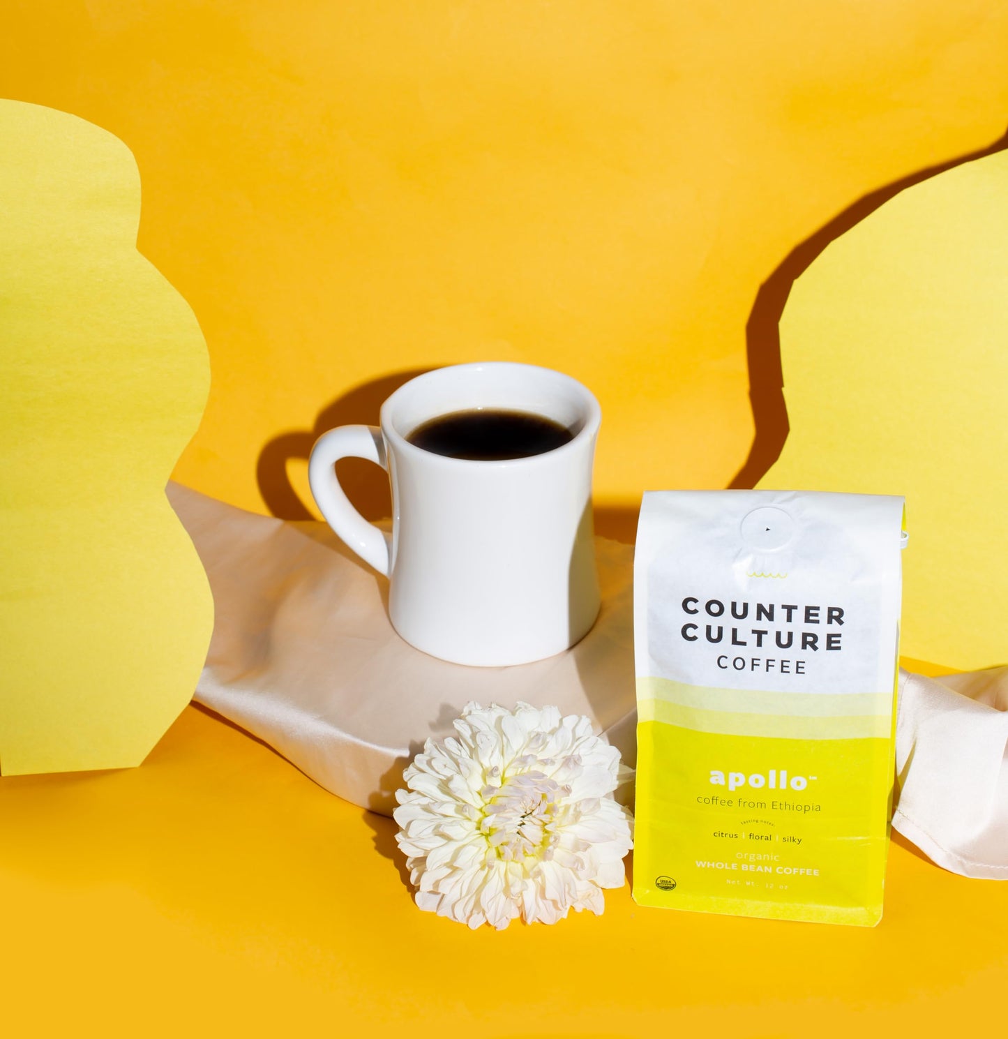 Counter Culture Coffee - Fresh Roasted Certified Organic Whole Bean Coffee (Kosher) (Apollo Double Pack)