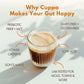 Cuppa Healthy Mushroom Insant Coffee with Lions Mane & Ashwagandha for All Day Energy & Focus - No Crash or Jitters - Nootropics for Brain Health  Gut Health  Immunity  Stress  Memory + Mood (30 Servings  Pumpkin Spice)