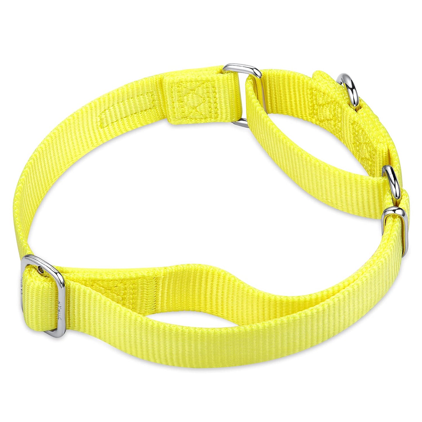 Hyhug Pets Premium Upgraded Heavy Duty Nylon Anti-Escape Martingale Collar For Boy And Girl Dogs Comfy And Safe - Professional T
