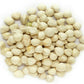 Plant Guru Moringa Seeds Kernel - Clean PKM1 Variety - 2 lbs. Wide Mouth Jar - Non-GMO - Brown
