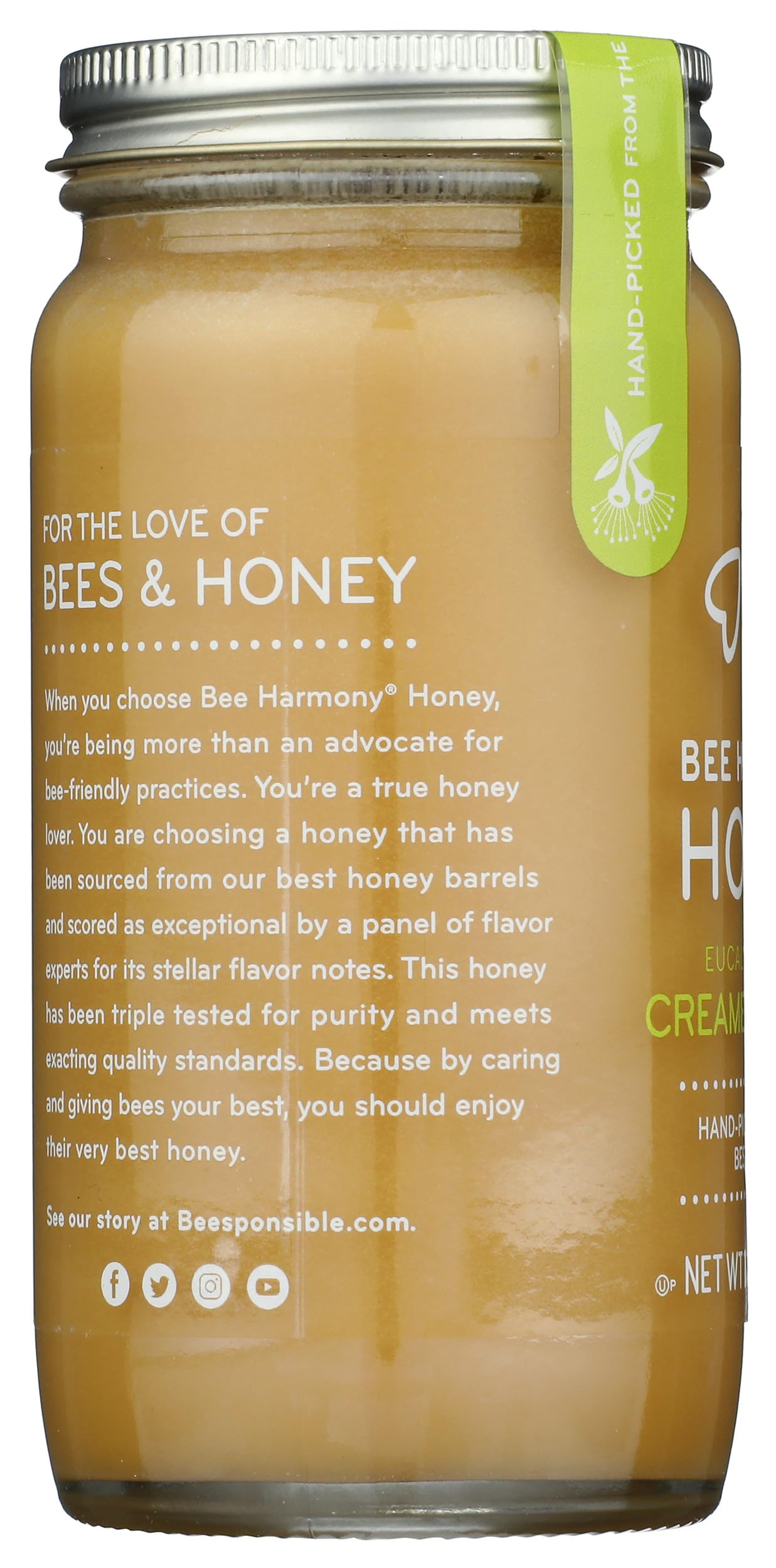 BEE HARMONY Organic Eucalyptus Raw Creamed Honey, 12 OZ