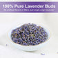 TEARELAE Lavender Tea Bags - Premium Dried Lavender Flower - Caffeine-Free - 40 Count