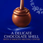 Lindt LINDOR Assorted Dark Chocolate Truffles, Smooth Melting Center, 15.2 oz Bag, Model M-393